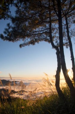 Alishan Ulusal Parkı Tayvan 'daki dağlarla dramatik bulut oluşumuyla güzel altın gün batımı