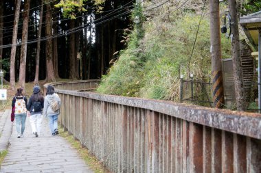 Alishan, Tayvan - 7 Aralık 2022: Tayvan 'daki Alishan Ulusal Sahne Bölgesi' nde turist yürüyüşleri. Dağ yabanı, köyler, şelaleler ve iyi korunmuş ormanları içerir..