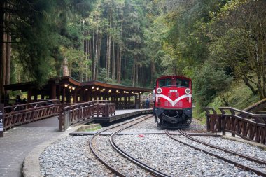 Alishan, Tayvan - 7 Aralık 2022 Alishan Ulusal Sahne Tayvan 'daki Kutsal Ağaç İstasyonu' ndan halka açık tren kalkıyor. Bu istasyon antik ağacı ziyaret etmek için bir yerdir..