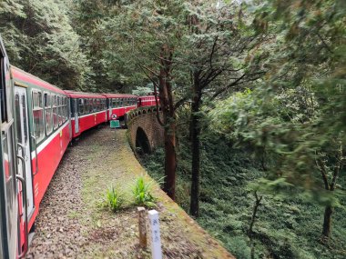 Alishan, Tayvan - 7 Aralık 2022: Alishan Ulusal Sahne Bölgesi 'ndeki orman treni. Orman Treni turistler için en popüler etkinliklerden biri olan klasik bir tren..