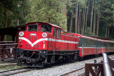 Alishan, Tayvan - 7 Aralık 2022 Alishan Ulusal Sahne Tayvan 'daki Kutsal Ağaç İstasyonu' ndan halka açık tren kalkıyor. Bu istasyon antik ağacı ziyaret etmek için bir yerdir..