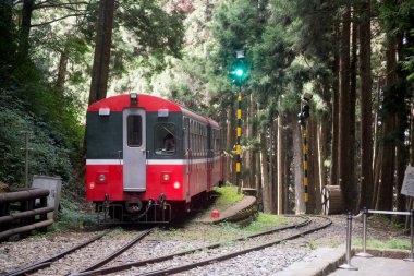 Alishan, Tayvan - 7 Aralık 2022 Alishan Ulusal Sahne Tayvan 'daki Kutsal Ağaç İstasyonu' ndan halka açık tren kalkıyor. Bu istasyon antik ağacı ziyaret etmek için bir yerdir..
