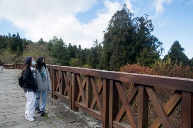 Alishan, Tayvan - 7 Aralık 2022: Turistler Alishan Milli Parkı 'nın manzaralı güzelliğinin tadını çıkarıyor 