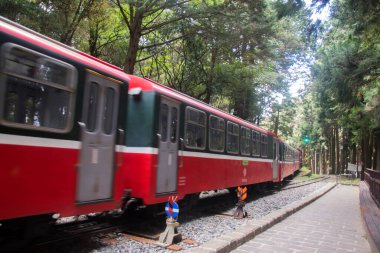 Alishan, Tayvan - 7 Aralık 2022 Alishan Ulusal Sahne Tayvan 'daki Kutsal Ağaç İstasyonu' ndan halka açık tren kalkıyor. Bu istasyon antik ağacı ziyaret etmek için bir yerdir..