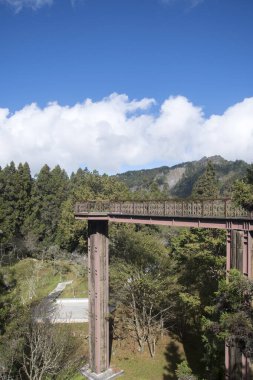 Alishan Ulusal Orman Bölgesi 'nde gözlem güvertesi ve gökyüzü yürüyüşü. Natura ve dağların üzerinde güzel panoramik manzaralar sunar..