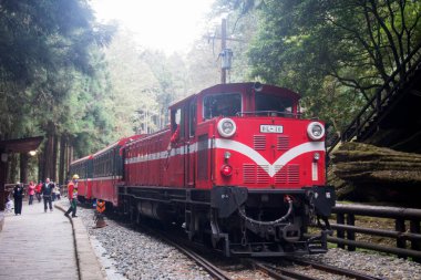 Alishan, Tayvan - 7 Aralık 2022 Alishan Ulusal Sahne Tayvan 'daki Kutsal Ağaç İstasyonu' nda halka açık tren iskelesi. Bu istasyon antik ağacı ziyaret etmek için bir yerdir..