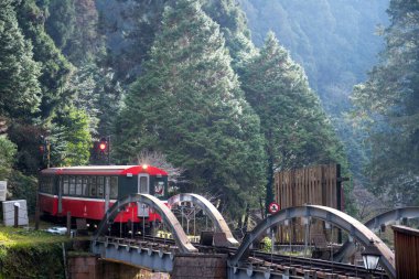 Alishan, Tayvan - 7 Aralık 2022 Alishan Ulusal Sahne Bölgesi 'nde Alishan Orman Treni. Alishan Orman Treni Alishan ve Kutsal Ağaç İstasyonu arasında mekik dokumakta olan klasik bir tren.