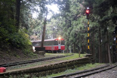 Alishan, Tayvan - 7 Aralık 2022 Alishan Ulusal Sahne Tayvan 'daki Kutsal Ağaç İstasyonu' na yaklaşmaktadır. Bu istasyon antik ağacı ziyaret etmek için bir yerdir..