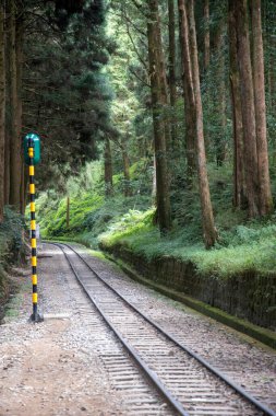 Alishan Ulusal Sahne Bölgesi, Tayvan 'da kimsenin olmadığı bir demiryolu.