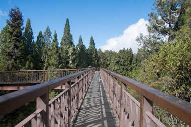 Alishan Ulusal Orman Bölgesi 'nde gözlem güvertesi ve gökyüzü yürüyüşü. Natura ve dağların üzerinde güzel panoramik manzaralar sunar..