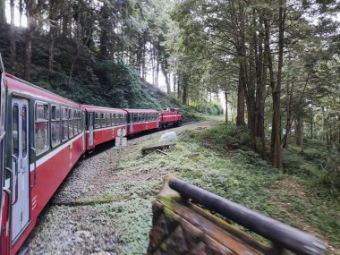 Alishan, Tayvan - 7 Aralık 2022: Alishan Ulusal Sahne Bölgesi 'ndeki orman treni. Orman Treni turistler için en popüler etkinliklerden biri olan klasik bir tren..