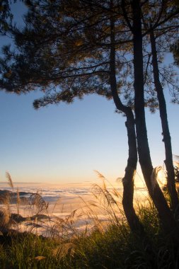 Alishan Ulusal Parkı Tayvan 'daki dağlarla dramatik bulut oluşumuyla güzel altın gün batımı