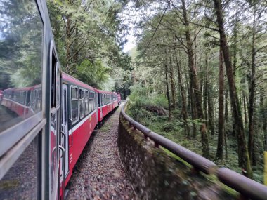 Alishan, Tayvan - 7 Aralık 2022: Alishan Ulusal Sahne Bölgesi 'ndeki orman treni. Orman Treni turistler için en popüler etkinliklerden biri olan klasik bir tren..