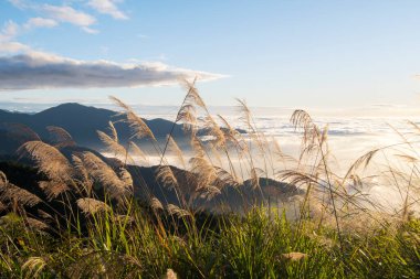 Alishan Ulusal Parkı Tayvan 'daki dağlarla dramatik bulut oluşumuyla güzel altın gün batımı