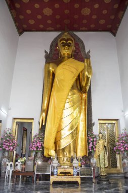 Bangkok, Tayland - 15 Şubat 2023: Wat Pho, Bangkok 'ta ayakta duran altın Buda heykeli. 