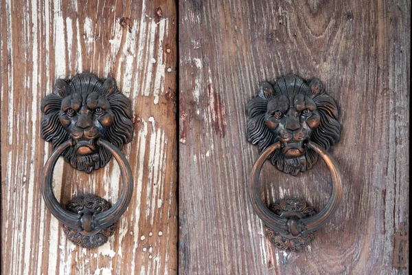 Kahverengi Ahşap Kapıya Metal Çin Aslanı Düğümü Yakın — Stok fotoğraf