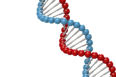 Mavi ve kırmızı elementli DNA modeli, 3D oluşturma