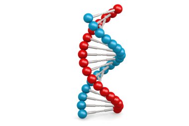 Mavi ve kırmızı elementli DNA modeli, 3D oluşturma