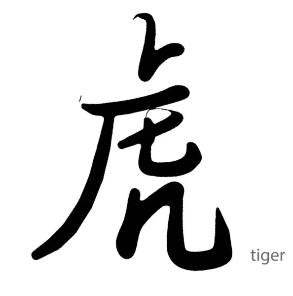 Hand drawn calligraphy of tiger word on white background, 3D rendering
