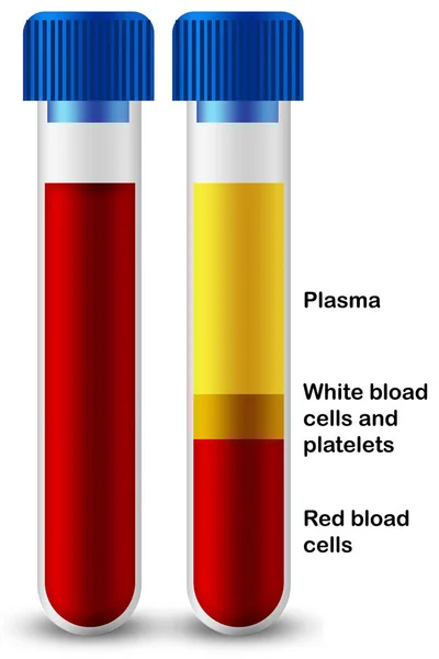医療検査管における血小板 赤血球 白血球の血液組成 3Dレンダリング — ストック写真