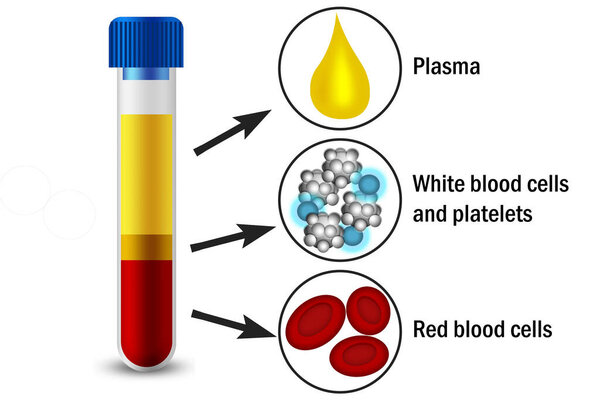 Blood Composition with platelets, red blood and white blood cells in medical test tube, 3d rendering