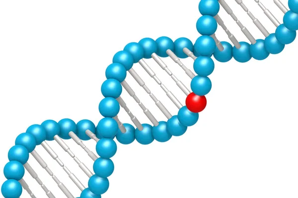 Dna Model Blue Red Elements Rendering — Stock Photo, Image