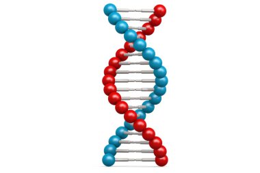 Mavi ve kırmızı elementli DNA modeli, 3D oluşturma