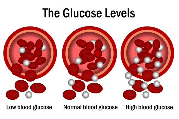 Glucose level with blood vessel, 3d rendering