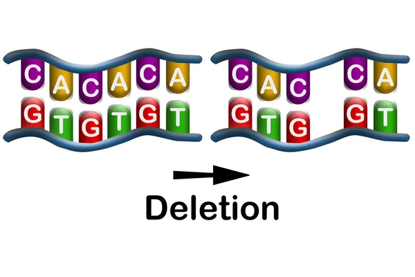 Mutación Eliminación Pérdida Uno Más Nucleótidos Segmento Adn Renderizado — Foto de Stock