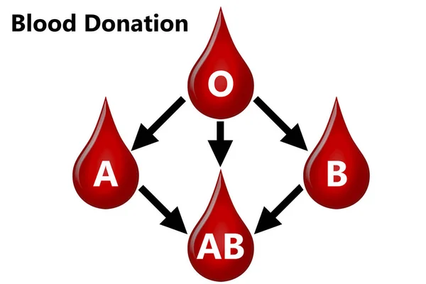 Blutspendediagramm Zwischen Verschiedenen Blutgruppen Darstellung — Stockfoto