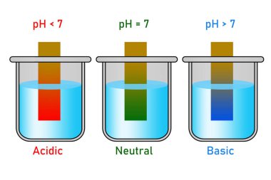 PH paper indicator with acidic, neutral and basic solutions, 3d rendering clipart