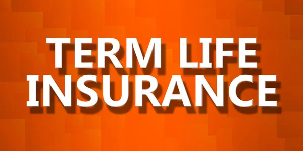 Term Life Insurance Word Pixelated Background Rendering — Stock Photo, Image