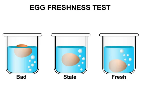 Ovos Flutuando Vidro Transparente Água Isolada Fundo Branco Renderização — Fotografia de Stock