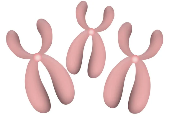 白い背景に隔離された染色体アイコン 3Dレンダリング — ストック写真