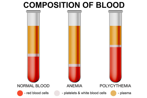 Composition of blood concept isolated on white background, 3d rendering