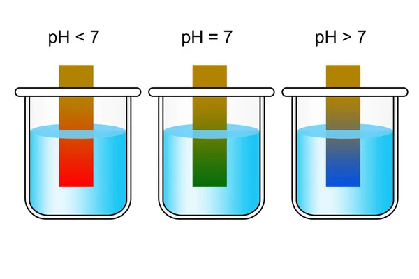 PH paper indicator with acidic, neutral and basic solutions, 3d rendering