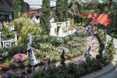 Singapur, 16-Haziran 2023, Singapur Körfezi yakınlarındaki Gardens 'taki Çiçek Kubbesi' nin iç manzarası. Cam kubbenin altında farklı bitki ve ağaçlardan oluşan bir koleksiyon.