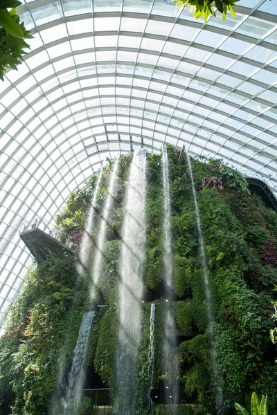 Singapore Jun 2023 Waterfall Cloud Forest Dome Gardens Bay Singapore — Stock Photo, Image