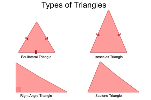 Tipos Diagrama Triángulos Sobre Fondo Blanco Representación —  Fotos de Stock