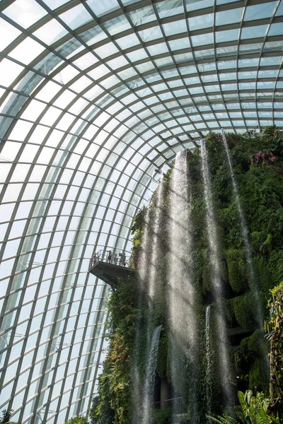 Сингапур Июня 2023 Года Водопад Внутри Купола Облачных Лесов Садах — стоковое фото