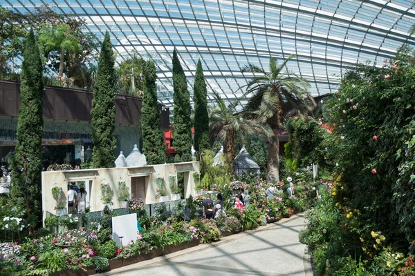 Szingapúr 2023 Június Virágkupola Belseje Szingapúri Bay Gardens Ben Különböző — Stock Fotó