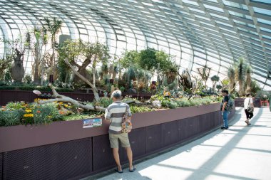 Singapur, 16-Haziran 2023, Singapur Körfezi yakınlarındaki Bahçeler 'deki Çiçek Kubbesi' nin iç manzarası.