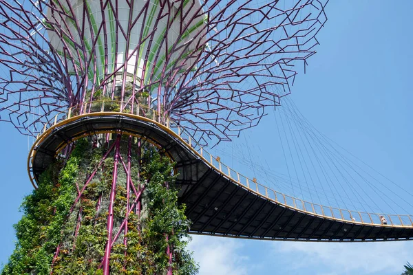 Singapur Jun 2023 Skyway Antennensteg Zwischen Den Künstlichen Baumkonstruktionen Von — Stockfoto