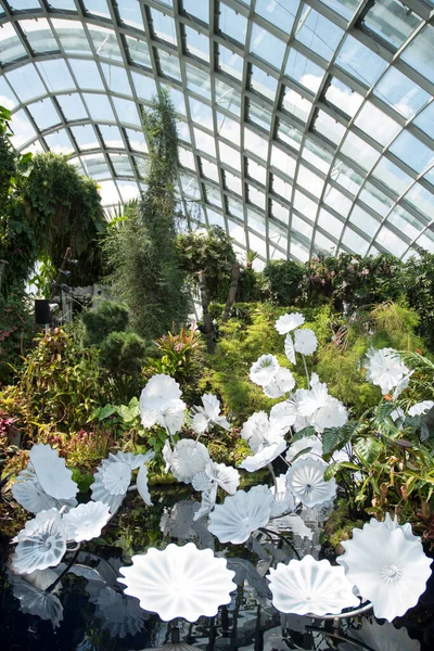 Singapour Juin 2023 Cloud Forest Conservatory Gardens Bay Singapour Compose — Photo