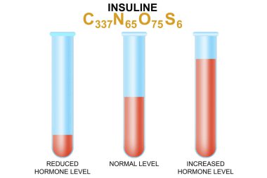 Test tüpündeki insülin hormonu hormonları izole edilmiş.