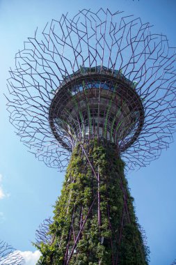 Singapur - 16-Haziran 2023: Singapur Körfezi yakınlarındaki Gardens 'taki Supertree Grove manzarası. Bahçıvanlık ve bahçe sanatının bir gösterisi..