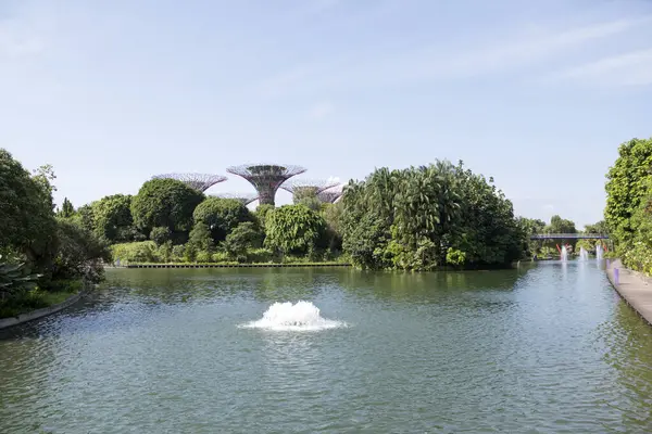 Singapour Jun 2023 Lac Des Libellules Dans Les Jardins Près — Photo