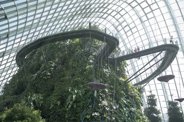 Singapur Cze 2023 Cloud Forest Conservatory Gardens Bay Singapurze Składa — Zdjęcie stockowe