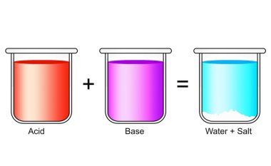 Su ve tuz oluşturmak için asit bazlı reaksiyon.