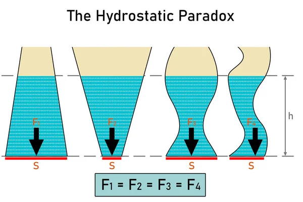 Paradoxe Hydrostatique Sur Quatre Récipients Avec Liquide Forme Volume Différents — Photo